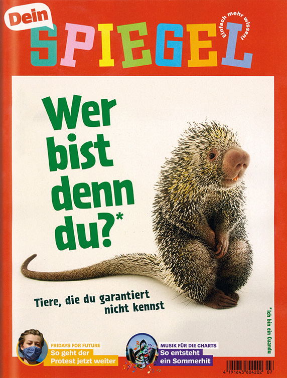 Dein Spiegel - Verband Deutscher Lesezirkel e.V.
